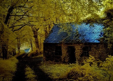 Ancient Forest Cottage, Stradbally, Ireland
