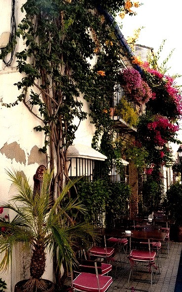Beautiful street in Marbella old town, Andalusia, Spain