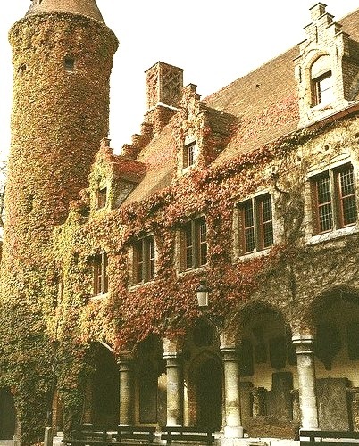 Ivy covered building in Brugge, Belgium