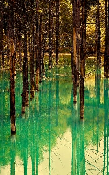 The blue colour of Shirogane Lake in Hokkaido, Japan